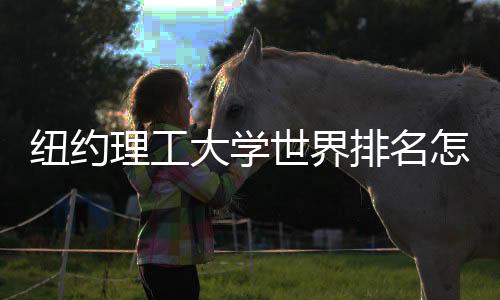 纽约理工大学世界排名怎么样?