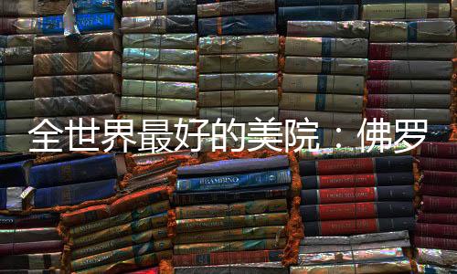 全世界最好的美院:佛罗伦萨美术学院