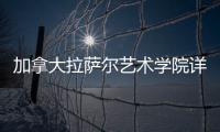 加拿大拉萨尔艺术学院详解