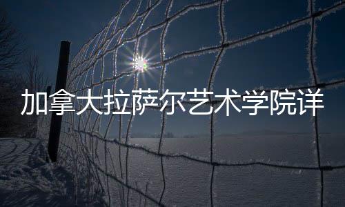 加拿大拉萨尔艺术学院详解