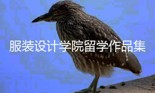 服装设计学院留学作品集有哪些要求?