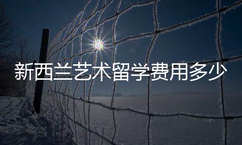 新西兰艺术留学费用多少？