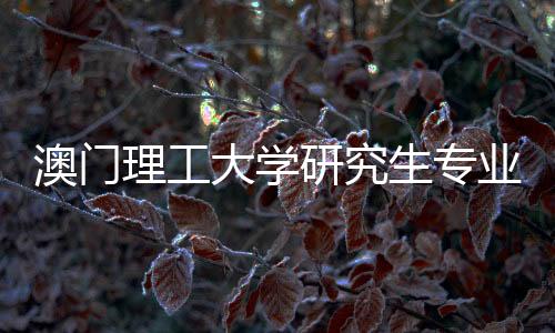 澳门理工大学研究生专业有哪些？
