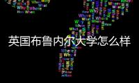 英国布鲁内尔大学怎么样？
