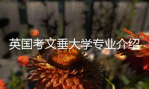 英国考文垂大学专业介绍,你会选择哪个?