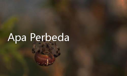 Apa Perbedaan Bintara