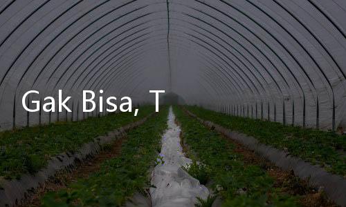 Gak Bisa, Tito Gak Berwenang Copot Anies