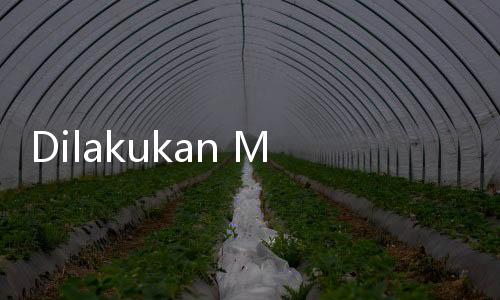 Dilakukan Mahalini Sebelum Menikah, Apa Itu Tradisi Mepamit?