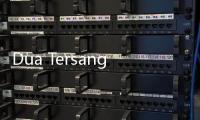 Dua Tersangka Dicopot, Komdigi Bentuk Tim Evaluasi Proyek Digital