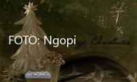 FOTO: Ngopi Bareng Kucing
