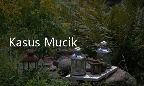 Kasus Mucikari Mamih Icha, Korban Anak Dipanggil Jika Ada Bookingan