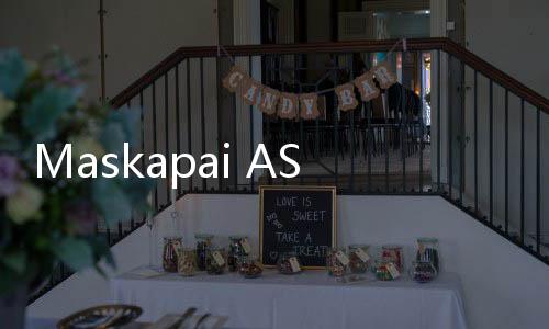 Maskapai AS Sediakan Penerbangan Kelas Satu Spesial untuk Anjing