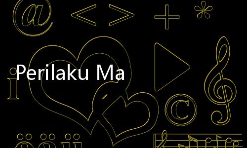 Perilaku Masyarakat Semakin Positif Hadapi Pandemi Covid