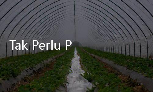 Tak Perlu Pakai Filler, 5 Cara Alami Ini Ampuh Memperbesar Payudara