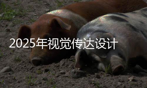 2025年视觉传达设计专业就业前景怎么样？