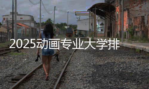 2025动画专业大学排名